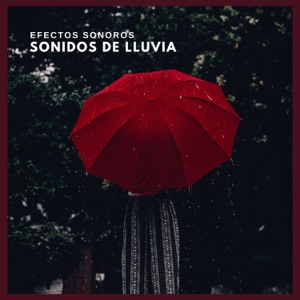 Efectos Sonoros: Sonidos de Lluvia
