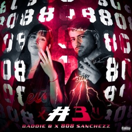 808 Project #3 (feat. Baddie B) Sanchezz