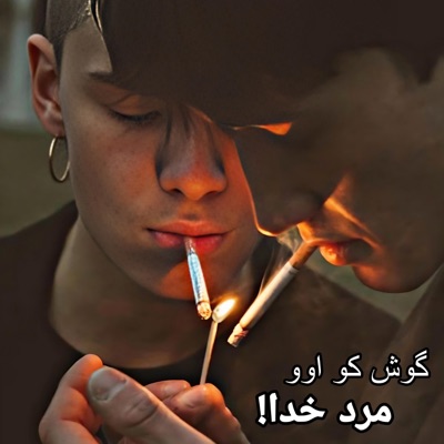 Dambora - ای کبک خرامان _ اموتو دیوانگان
