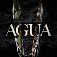 Agua (feat. D'Mingo) - Single - Richy Rich