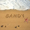 Sandy - Single