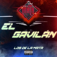 El Gavilán - Single - Los De La Mata