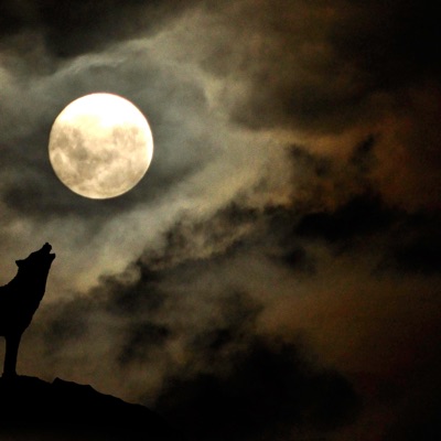 To the Moon (feat. Bando Ptz & Say Drilly) - Single