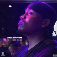 Salisbury Steak - Single - Bing Nation