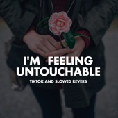 I'm Feeling Untouchable (TikTok and Slowed Reverb) artwork