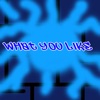 What You Like - Single