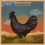 David Quinn - Easy Like the Breeze