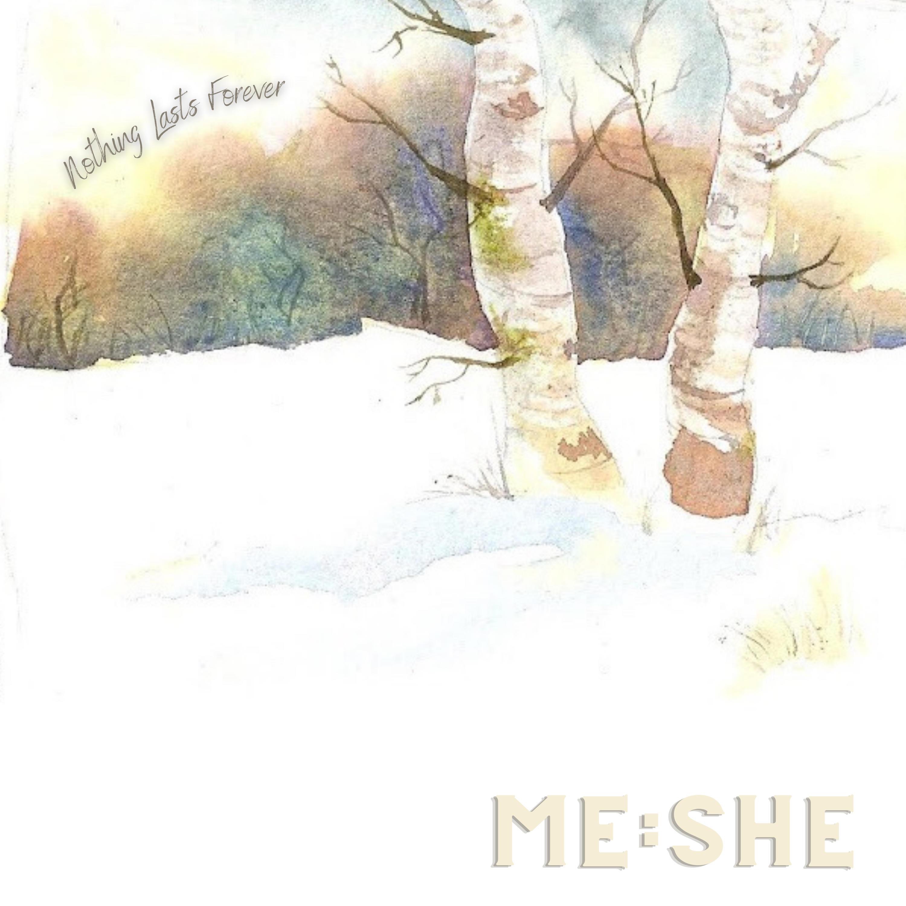 Nothing Lasts Forever - Single