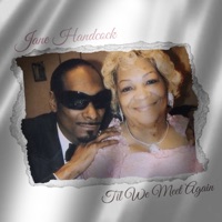 Til We Meet Again - Single - JANE HANDCOCK