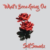 What's Been Going On - Single