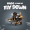 Fly Down artwork