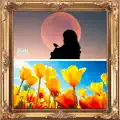 Spring Equinox