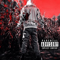 30's & 40's - Single - Aceys