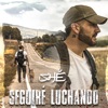 Seguiré Luchando - Single