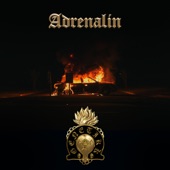 ADRENALIN artwork