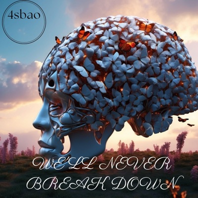 We'LL Never Break Down - Single