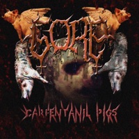 Ripped Fetus Boy Dying On the Street While Im Taking Carfentanil Next To Him (feat. Gore) - Single - Carfentanil Pigs