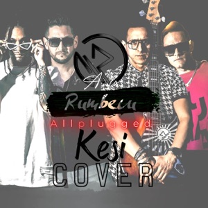 kesi (Allplugged Cover)