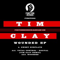 Wounded - Single - Tim Clay & Digital