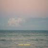 Fading Summer - Single