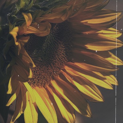 คนรักที่เธอไม่แคร์ (feat. TP) - Single