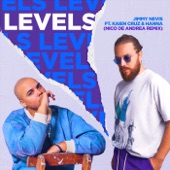 Levels (Nico de Andrea Remix) [feat. Kaien Cruz & Hanna] artwork