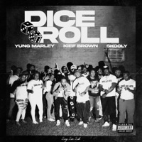 DICE ROLL (feat. Skooly & Kief Brown) - Single - Yung Marley