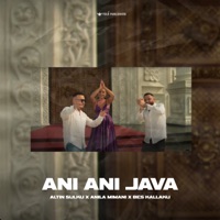 Ani Ani Java (feat. Anila Mimani & Bes Kallaku) - Single - Altin Sulku