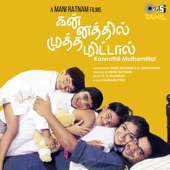 Kannathil Muthamittal - Male artwork