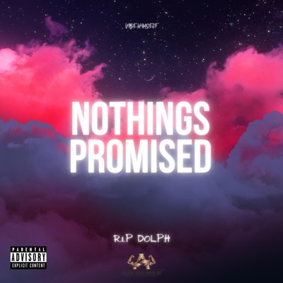 Nothings Promised (feat. VIBE Himself) - Single
