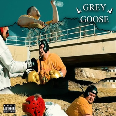 Grey Goose - Single