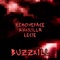 Buzzkill - xxkrilla & removeface lyrics