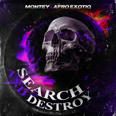 SEARCH and DESTROY (feat. Afro Exotiq) - Single