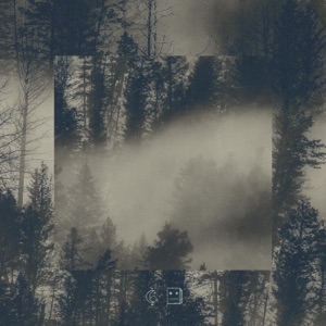 Wasted - Single