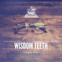 Wisdom Teeth - Single - Anton