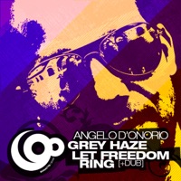 Grey Haze / Let Freedom Ring - Single - Angelo D'Onorio