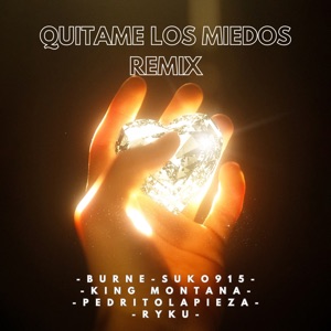 Quítame los Miedos (Remix)