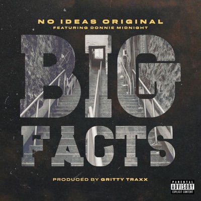 Big Facts (feat. Donnie Midnight) - Single