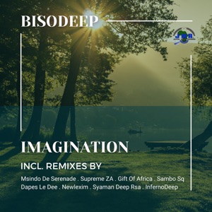 Imagination (Remixes)
