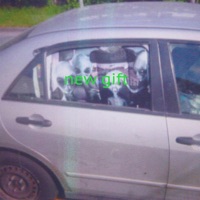 New Gift - Single - Temporaryname123 & Digital Ghost fka bzkt.