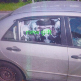 New Gift Temporaryname123 & Digital Ghost fka bzkt.