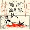 Crash!!!!!!!!! Burn!!!!!!!! by Forest Spirit, Sun on Your Back