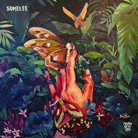 Limba la - Single - Somelee