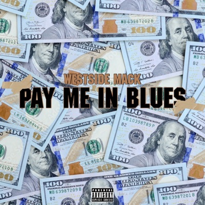 Pay me In Blues - Single
