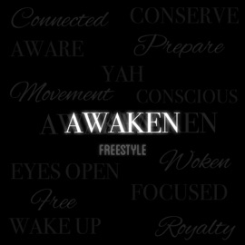 Awaken Freestyle (feat. Brad Heru) Jemy