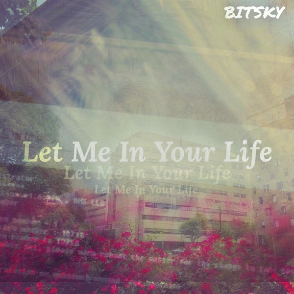 Let Me In Your Life