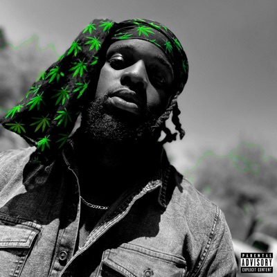 Comfortable - Single