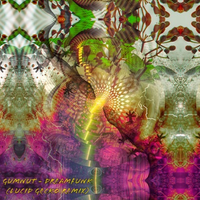 Dreamfunk (Lucid Gecko Remix) - Single