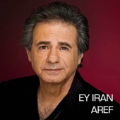 Ey Iran artwork