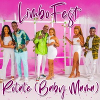 Rotate (Baby Mama) - Single - limbofest